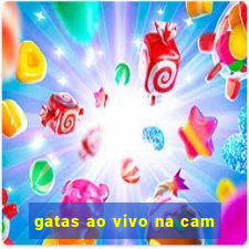 gatas ao vivo na cam